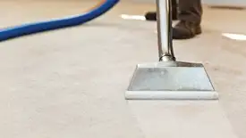Carpet cleaning wand head gliding over a light carpet during hot-water extraction, Naperville, IL.