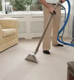 Professional carpet cleaner using a hot-water extraction wand and hose machine in a living room in Naperville, IL.