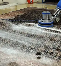 Professional rug cleaning with a rotary floor machine and shampoo foam, deep-cleaning an area rug Naperville, IL.